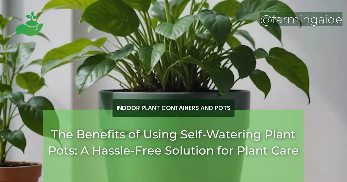 The Benefits of Using Self-Watering Plant Pots: A Hassle-Free Solution for Plant Care