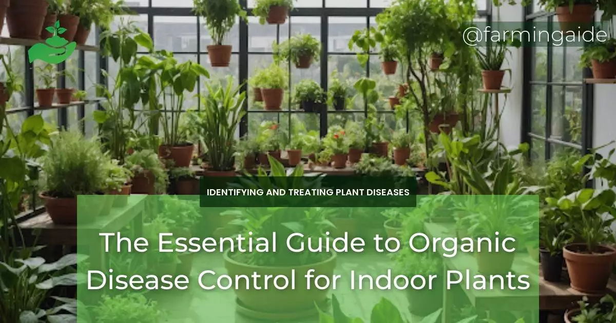 The Essential Guide to Organic Disease Control for Indoor Plants