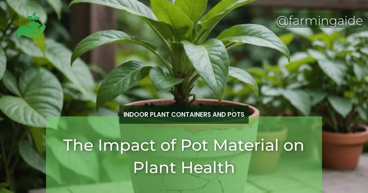 The Impact of Pot Material on Plant Health
