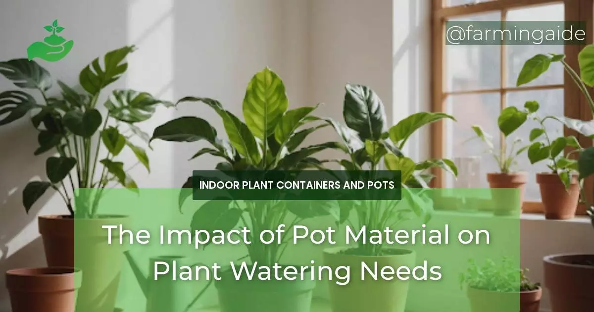 The Impact of Pot Material on Plant Watering Needs