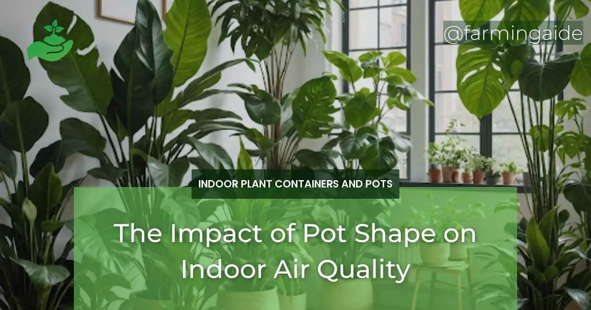 The Impact of Pot Shape on Indoor Air Quality