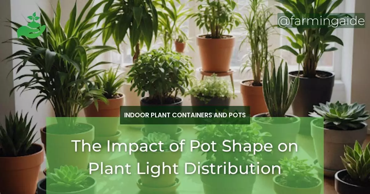 The Impact of Pot Shape on Plant Light Distribution