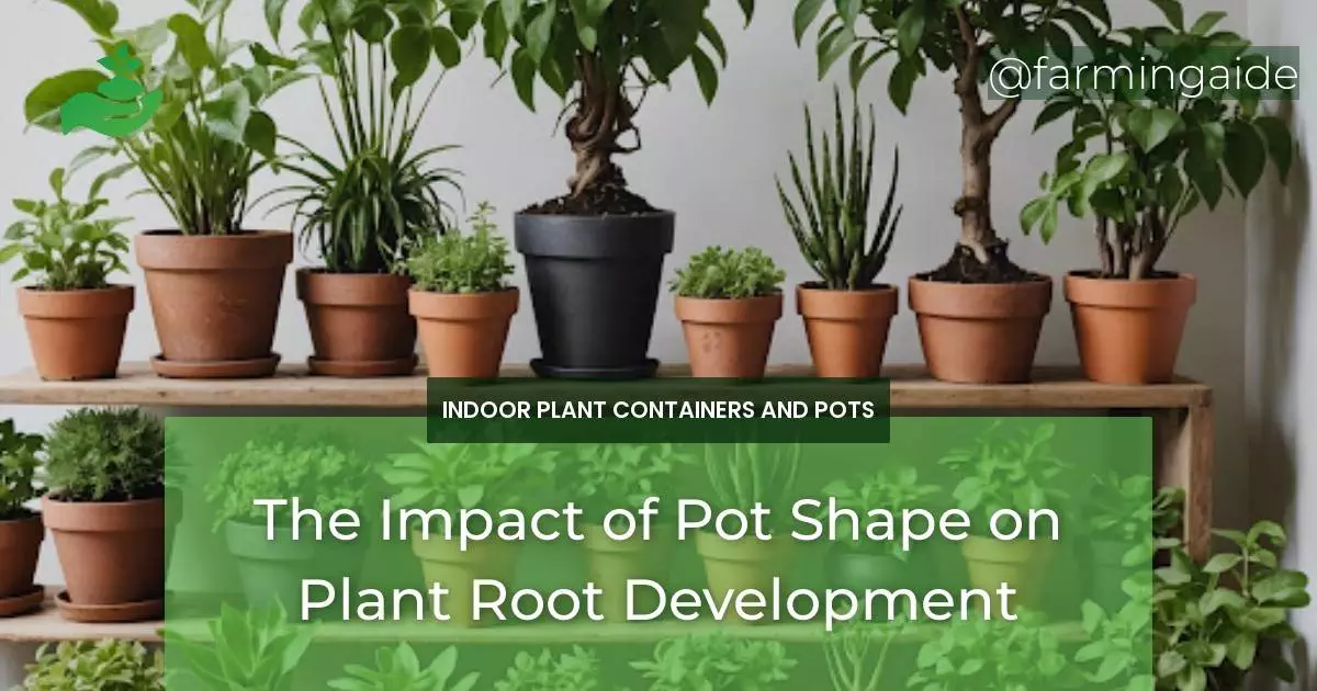 The Impact of Pot Shape on Plant Root Development