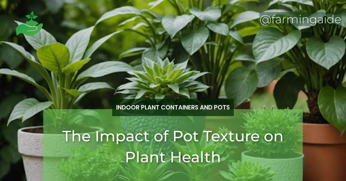 The Impact of Pot Texture on Plant Health