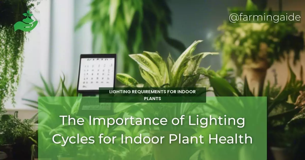 The Importance of Lighting Cycles for Indoor Plant Health
