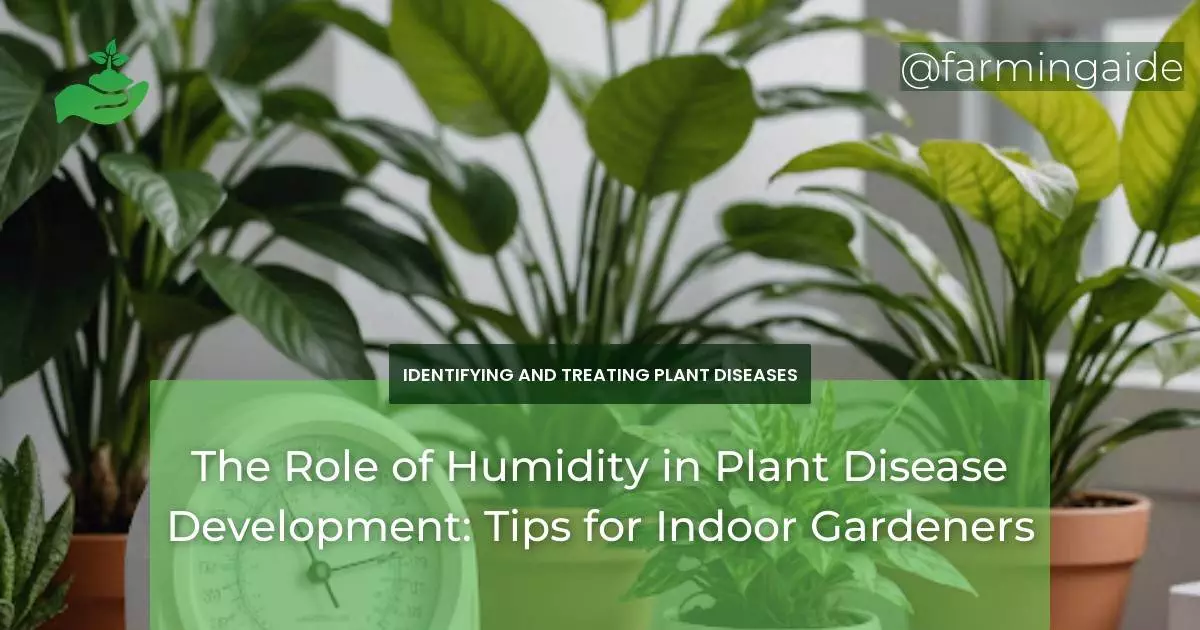 The Role of Humidity in Plant Disease Development: Tips for Indoor Gardeners