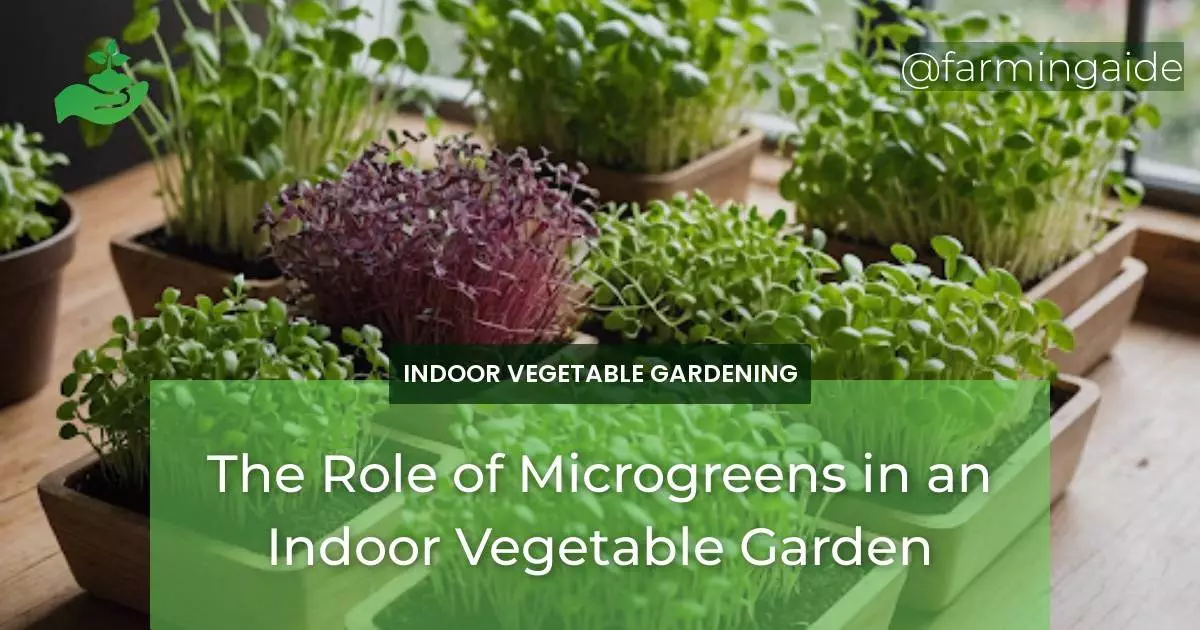 The Role of Microgreens in an Indoor Vegetable Garden