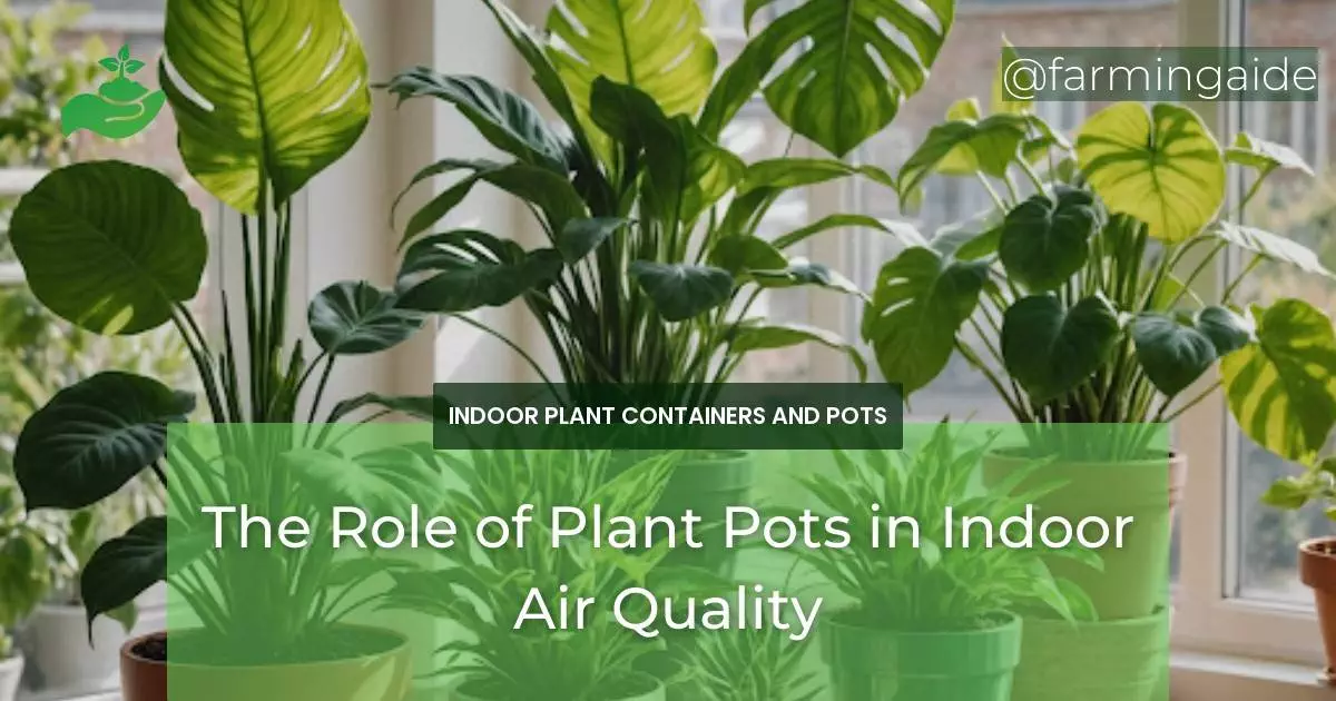 The Role of Plant Pots in Indoor Air Quality