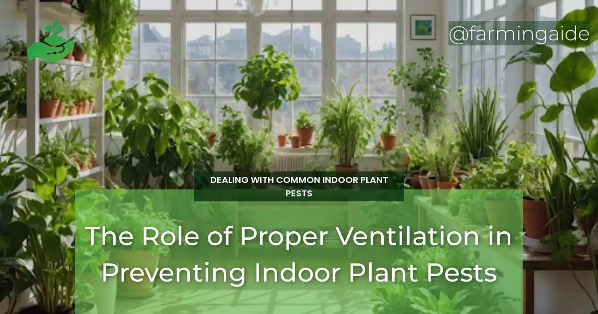 The Role of Proper Ventilation in Preventing Indoor Plant Pests