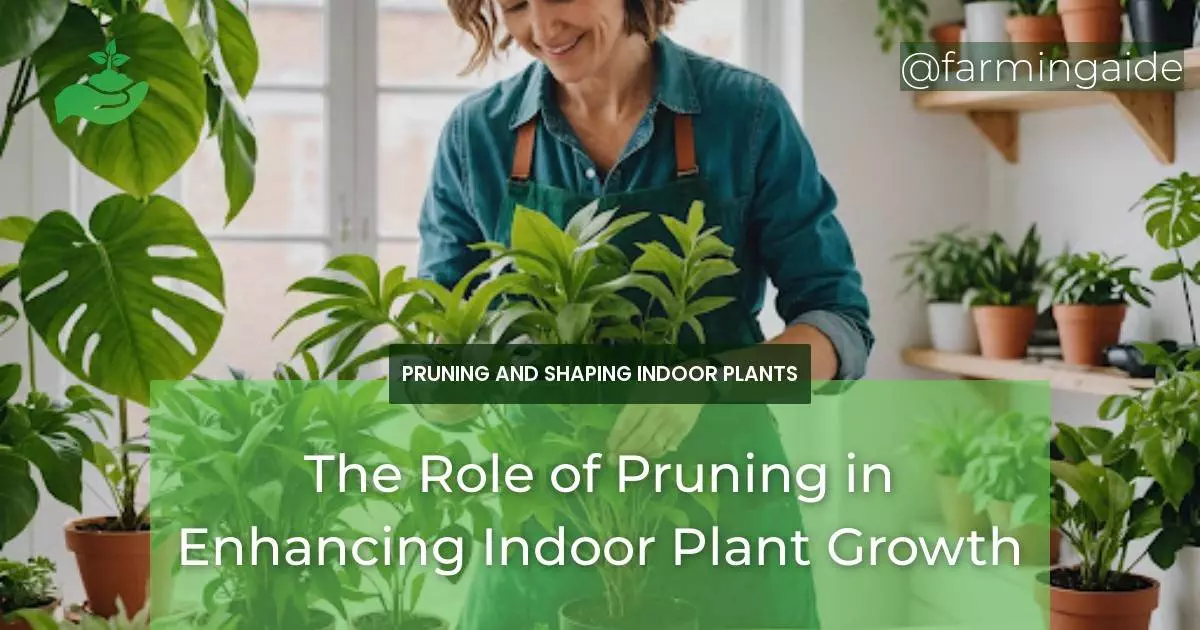 The Role of Pruning in Enhancing Indoor Plant Growth