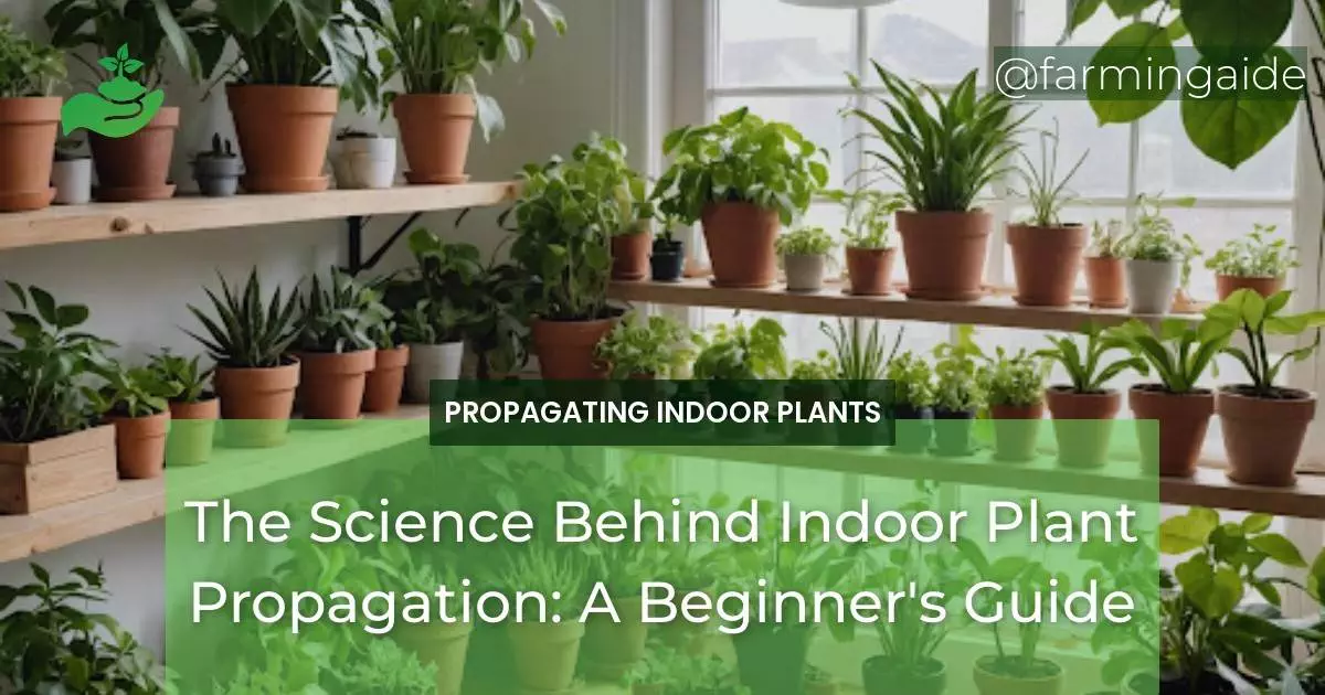 The Science Behind Indoor Plant Propagation: A Beginner's Guide