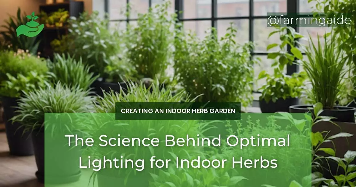 The Science Behind Optimal Lighting for Indoor Herbs