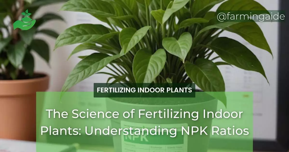 The Science of Fertilizing Indoor Plants: Understanding NPK Ratios