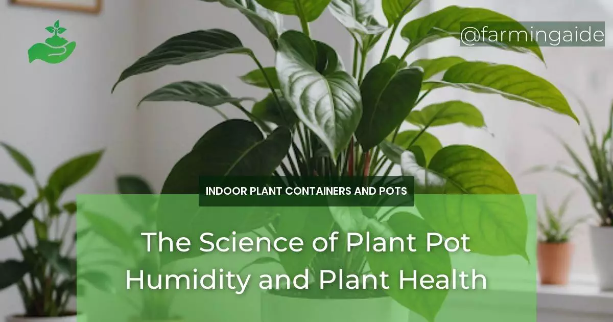 The Science of Plant Pot Humidity and Plant Health