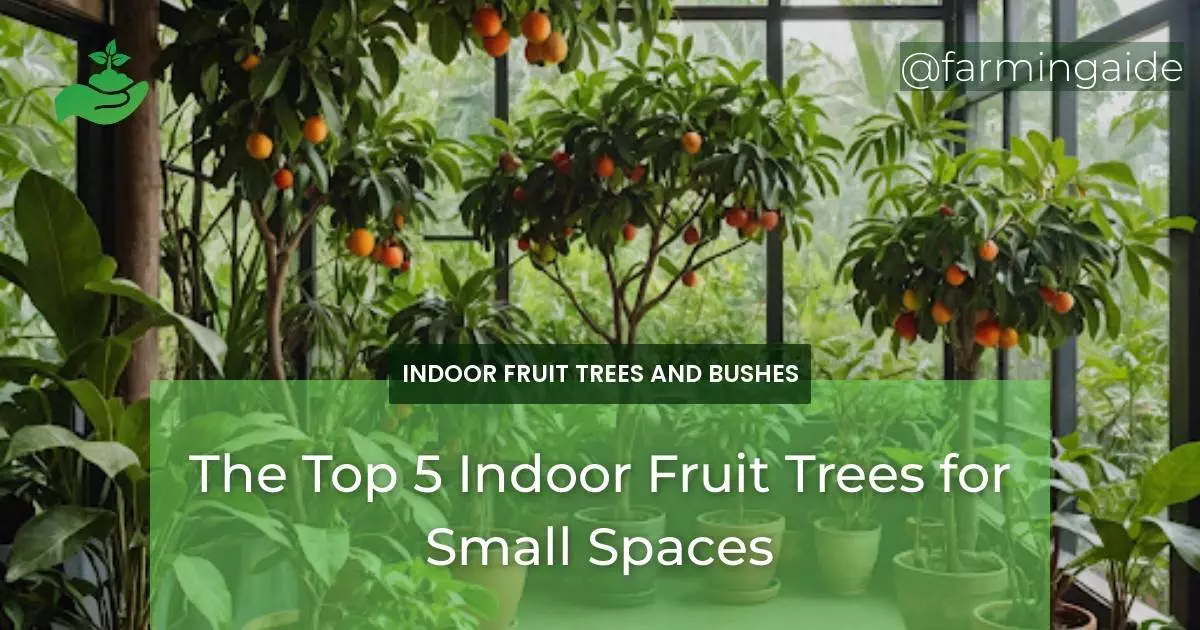 The Top 5 Indoor Fruit Trees for Small Spaces