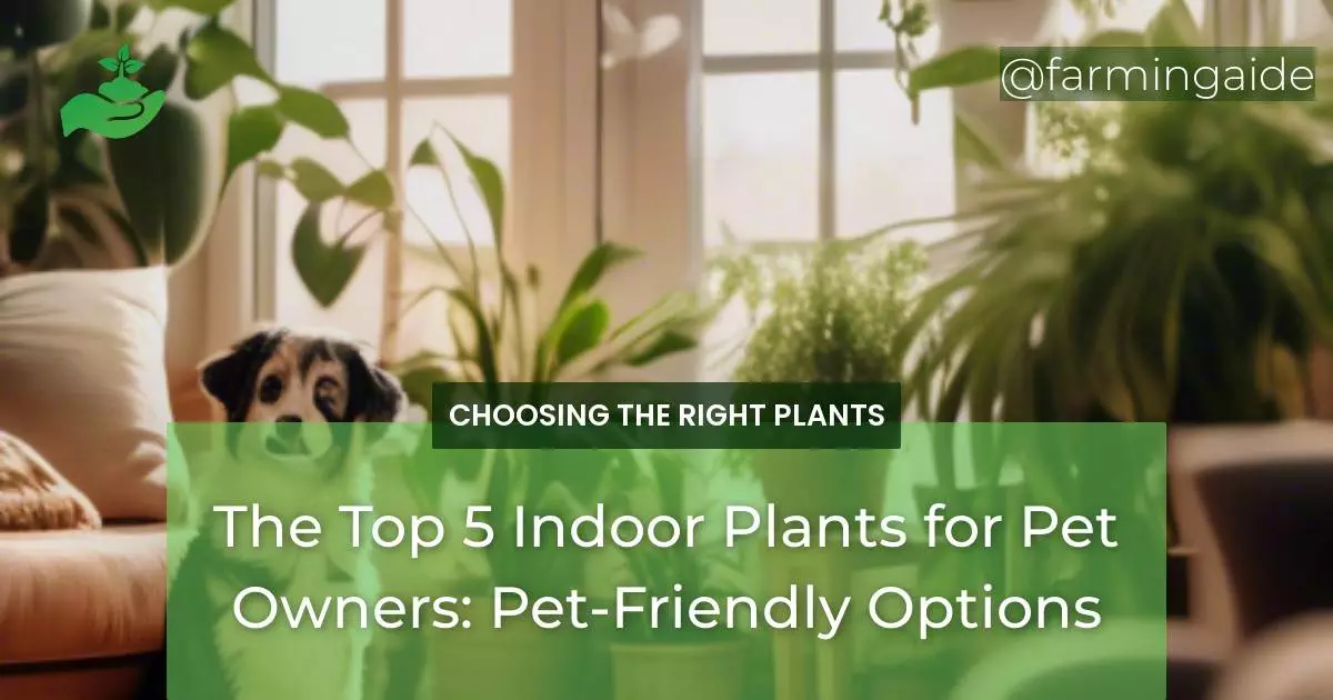 The Top 5 Indoor Plants for Pet Owners: Pet-Friendly Options
