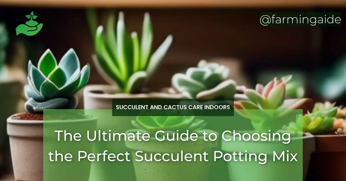 The Ultimate Guide to Choosing the Perfect Succulent Potting Mix