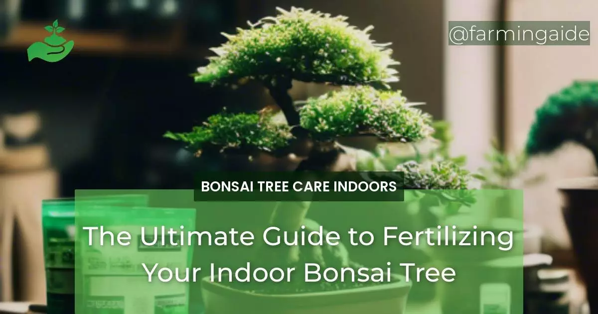 The Ultimate Guide to Fertilizing Your Indoor Bonsai Tree