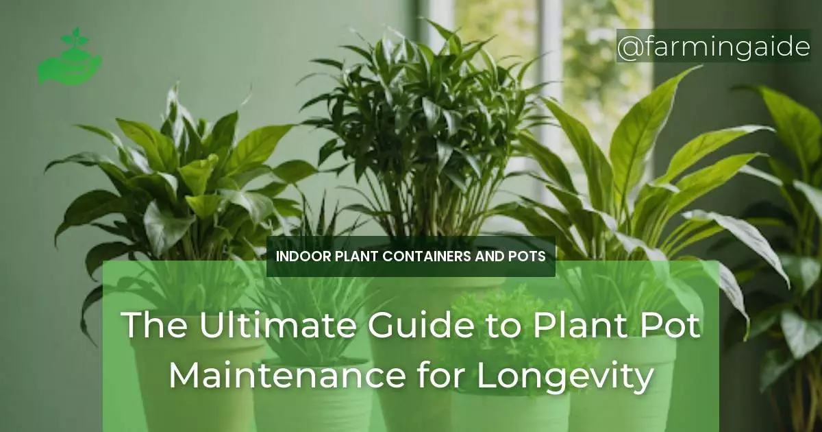The Ultimate Guide to Plant Pot Maintenance for Longevity