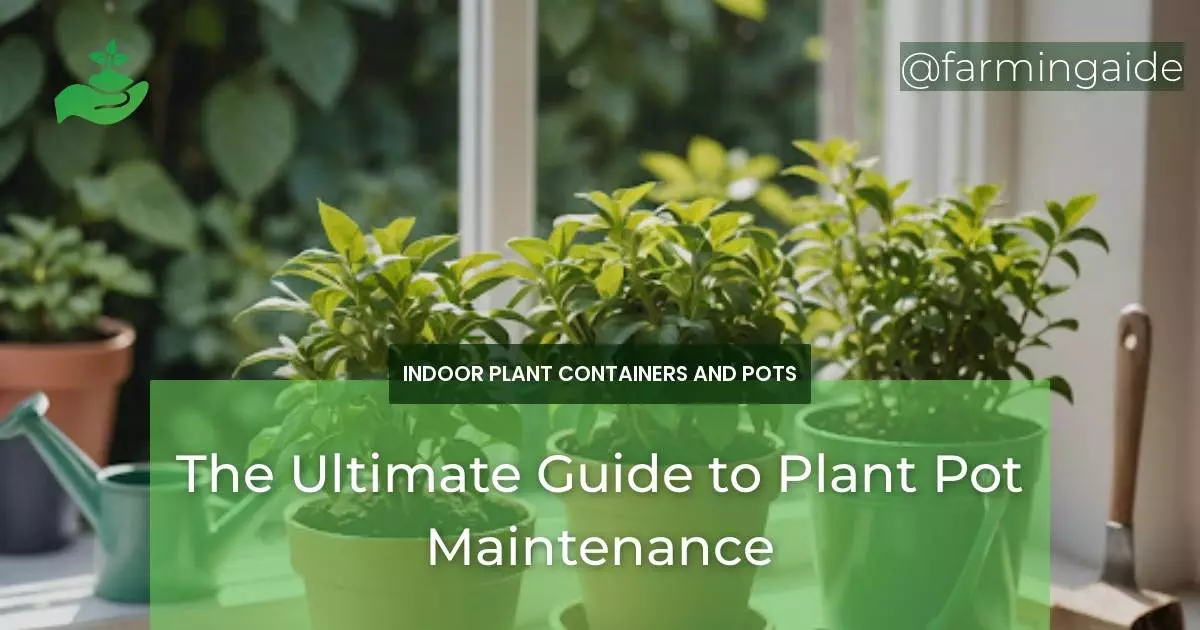 The Ultimate Guide to Plant Pot Maintenance