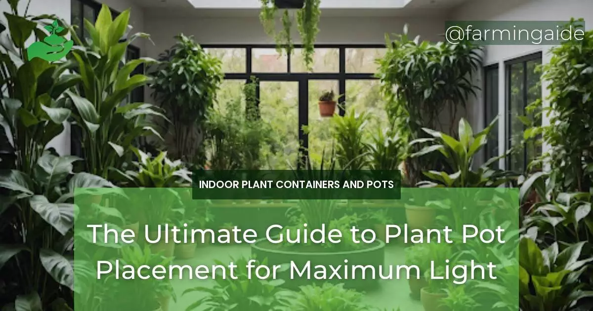 The Ultimate Guide to Plant Pot Placement for Maximum Light