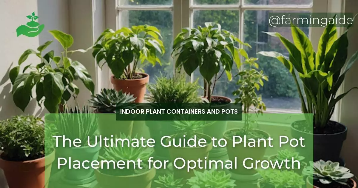 The Ultimate Guide to Plant Pot Placement for Optimal Growth