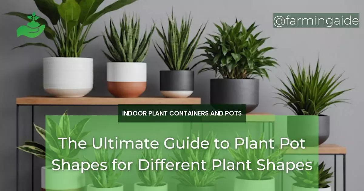 The Ultimate Guide to Plant Pot Shapes for Different Plant Shapes