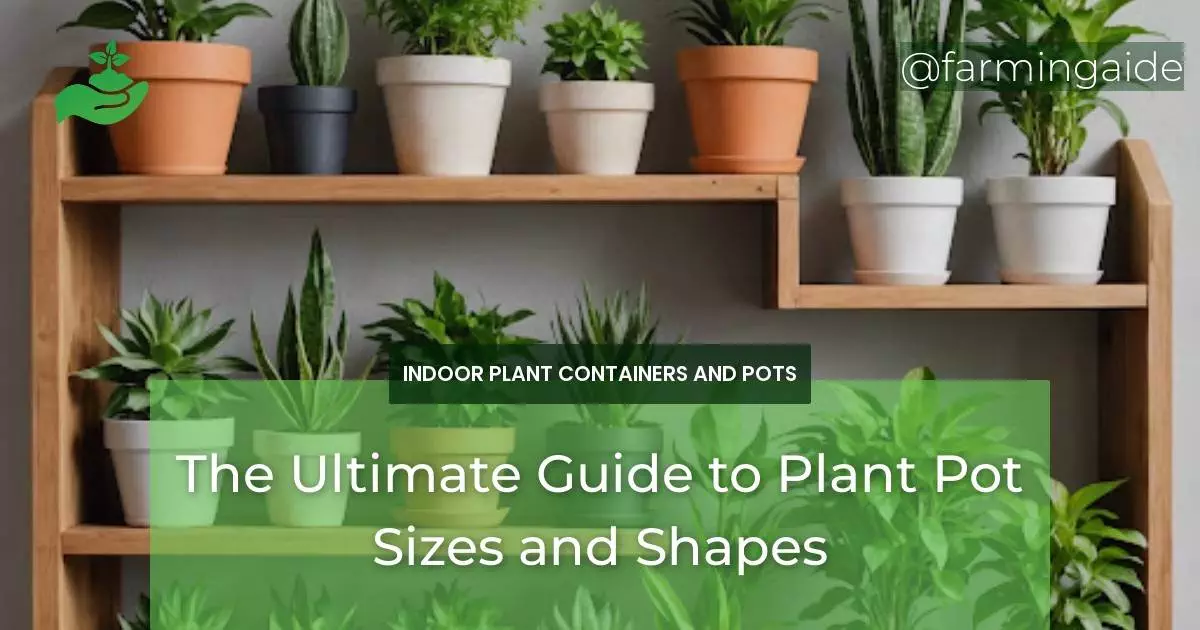 The Ultimate Guide to Plant Pot Sizes and Shapes