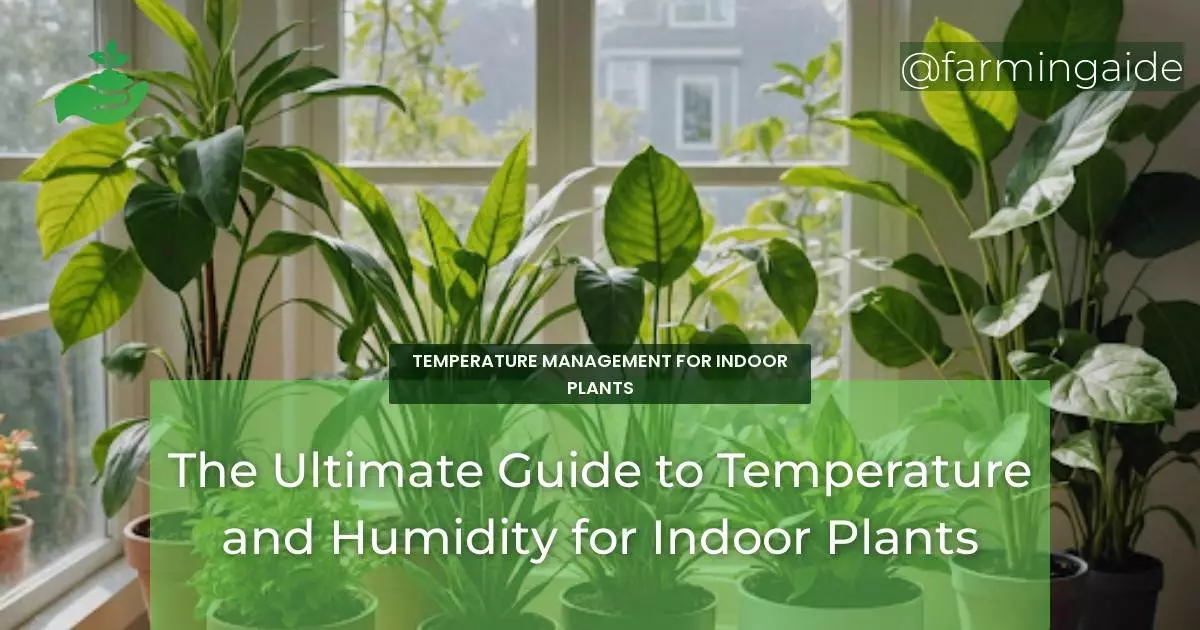 The Ultimate Guide to Temperature and Humidity for Indoor Plants