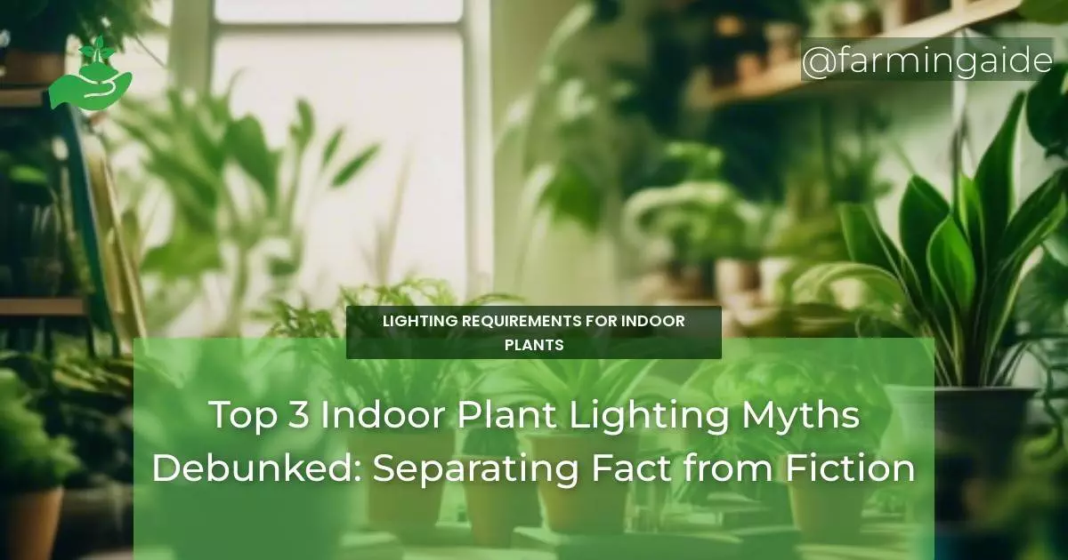 Top 3 Indoor Plant Lighting Myths Debunked: Separating Fact from Fiction