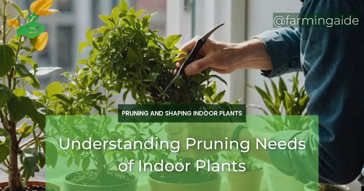 Understanding Pruning Needs of Indoor Plants