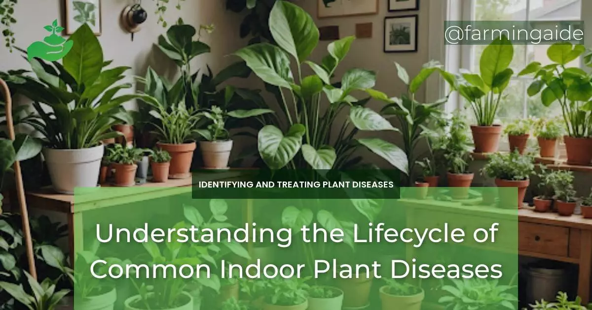 Understanding the Lifecycle of Common Indoor Plant Diseases