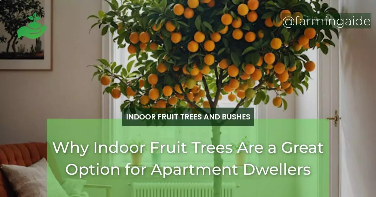 Why Indoor Fruit Trees Are a Great Option for Apartment Dwellers