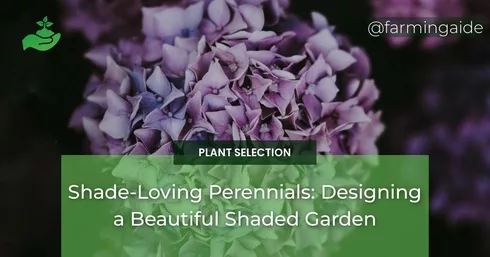 Shade-Loving Perennials: Designing a Beautiful Shaded Garden