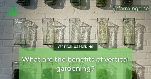 What are the benefits of vertical gardening?