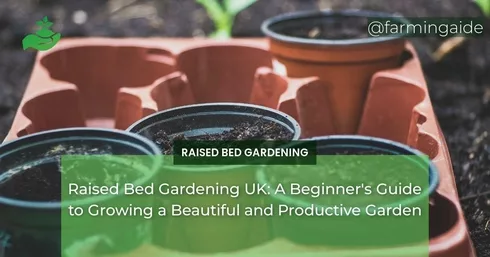 Raised Bed Gardening UK: A Beginner's Guide to Growing a Beautiful and Productive Garden