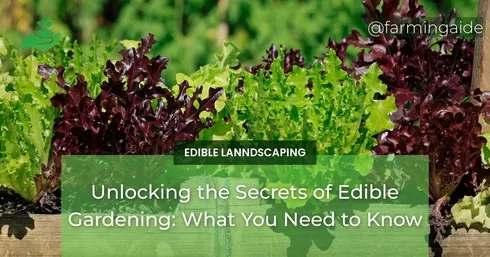 Unlocking the Secrets of Edible Gardening: What You Need to Know