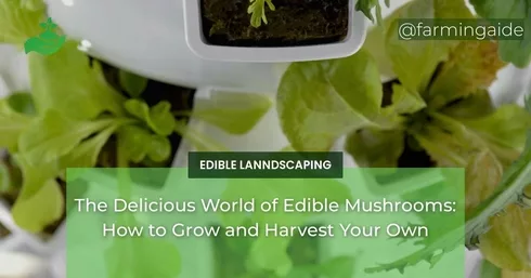The Delicious World of Edible Mushrooms: How to Grow and Harvest Your Own