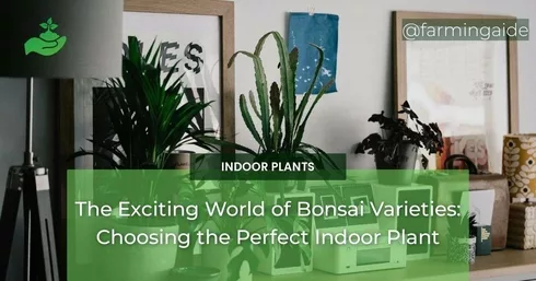 The Exciting World of Bonsai Varieties: Choosing the Perfect Indoor Plant