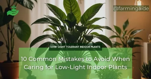 10 Common Mistakes to Avoid When Caring for Low-Light Indoor Plants