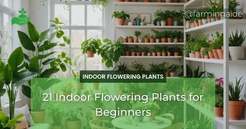 21 Indoor Flowering Plants for Beginners