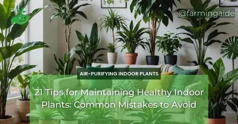 21 Tips for Maintaining Healthy Indoor Plants: Common Mistakes to Avoid