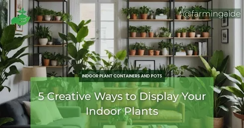 5 Creative Ways to Display Your Indoor Plants