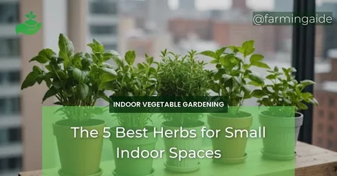 The 5 Best Herbs for Small Indoor Spaces
