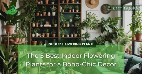 The 5 Best Indoor Flowering Plants for a Boho-Chic Decor
