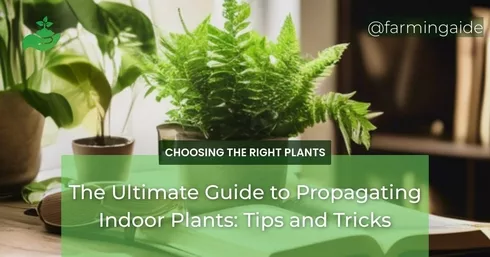 The Ultimate Guide to Propagating Indoor Plants: Tips and Tricks