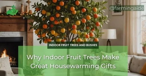 Why Indoor Fruit Trees Make Great Housewarming Gifts