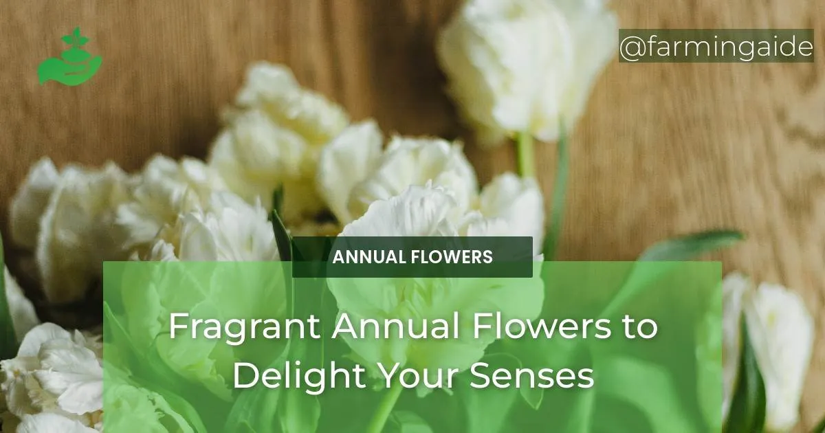 Choosing Drought-Tolerant Annual Flowers for Water Conservation