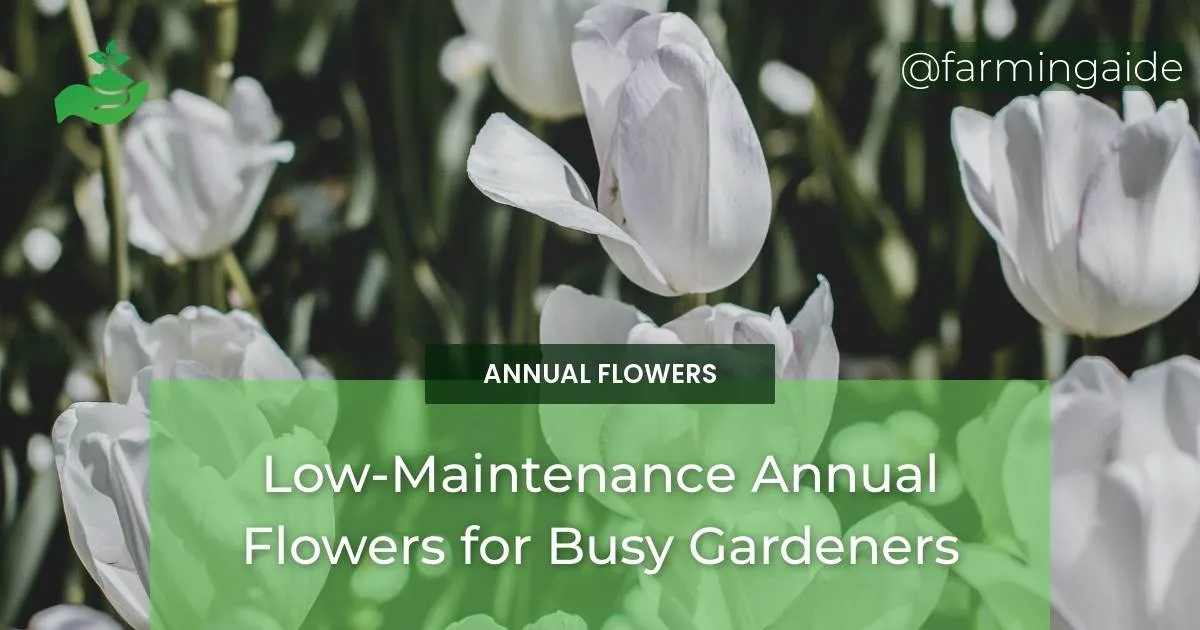 LowMaintenance Annual Flowers for Busy Gardeners