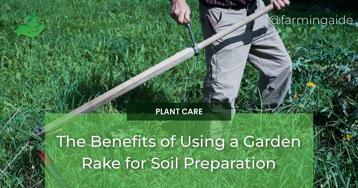 Preparation Rake The Benefits of Using a Garden Rake for Soil Preparation